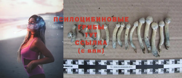 гидропоника Бугульма