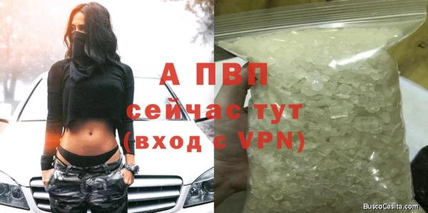 скорость Бородино